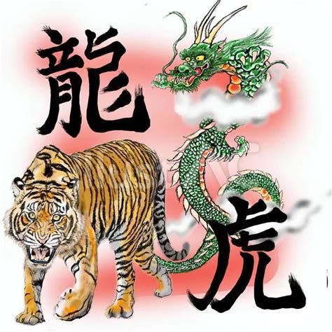 龍 虎|龍虎